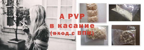 стафф Кодинск