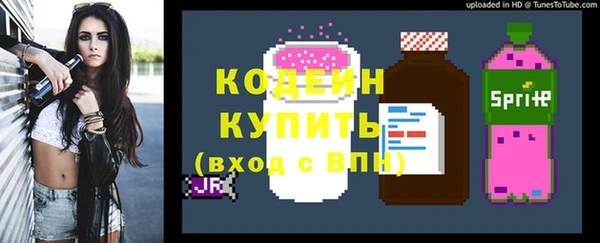 спайс Корсаков