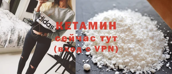 стафф Кодинск