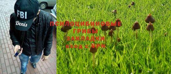 а пвп мука Козельск